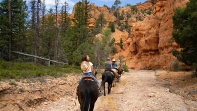 canyongross online marketplace guide