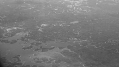 regional mobile call analysis