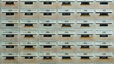 contact lookup phone numbers