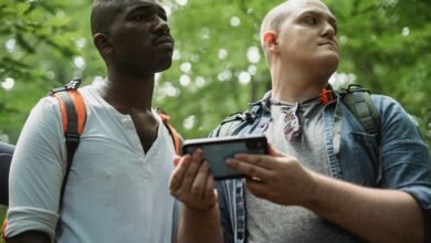 phone number information lookup