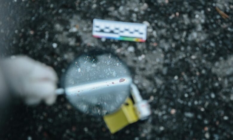 scam detection service numbers